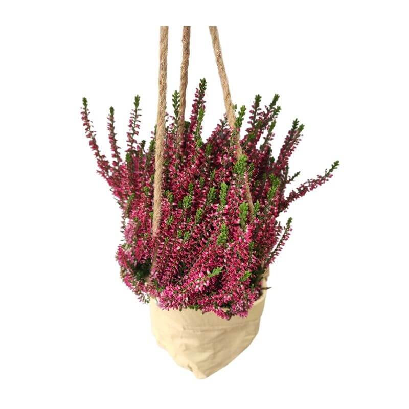 hanging pot rcycled b