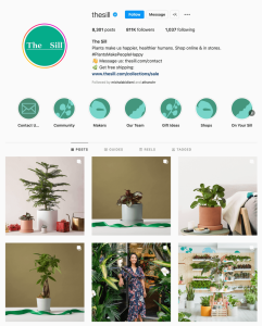 thesill Instagram