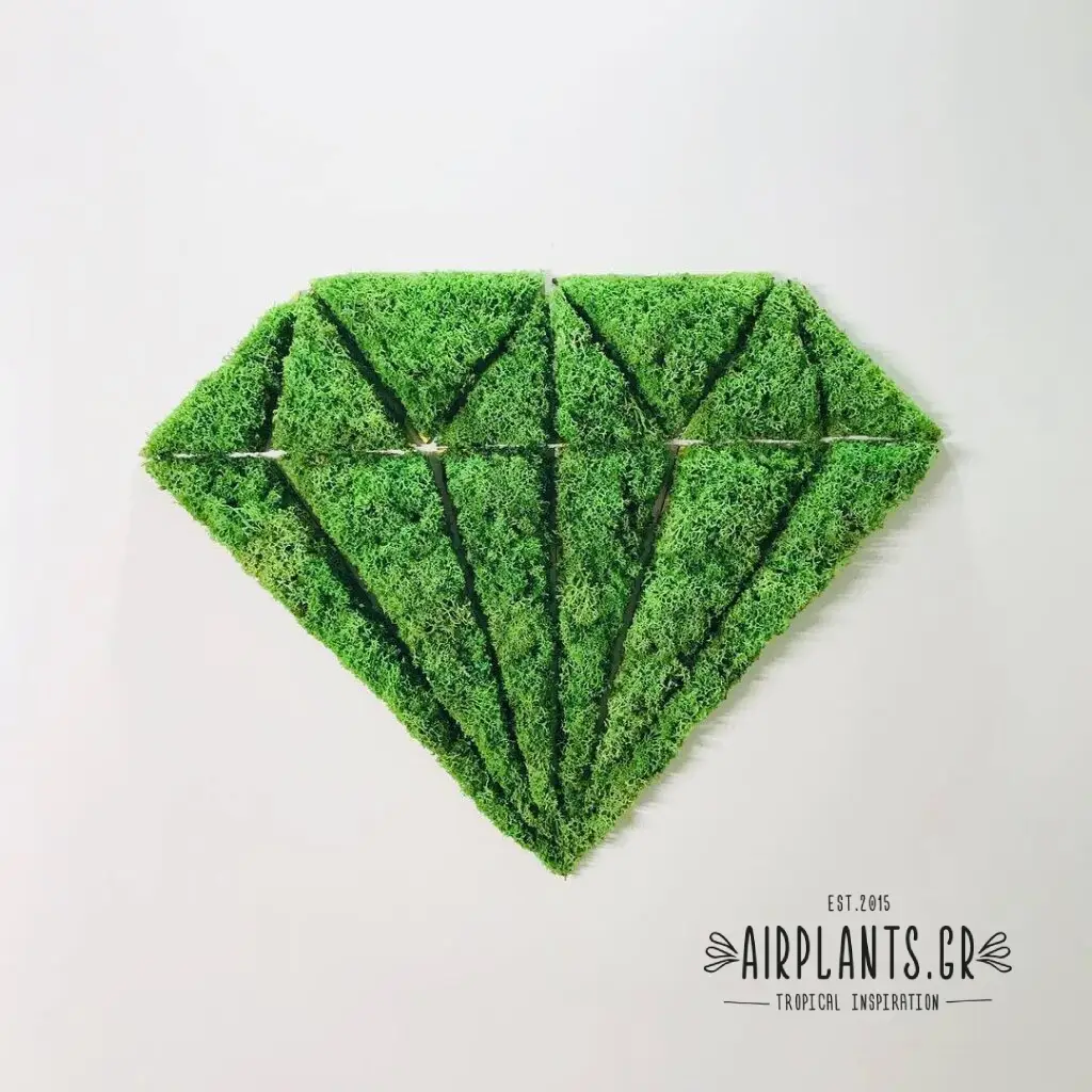 moss wall για διακόσμηση κοσμηματοπωλείου τοίχος από βρύα