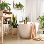 φυτά στο μπάνιο ανθεκτικά προτάσεις airplants